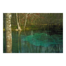 July Spring I. Columbia County, Fl. Photograph