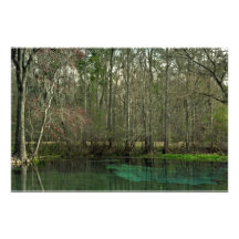 July Spring II. Columbia County, Florida. Photograph