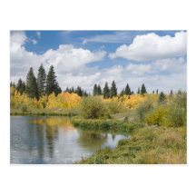 Jumbo Lake in Autumn Postcards