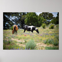 Juments sauvages posters
