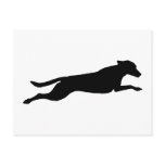 Jumping Dog Silhouette postcards