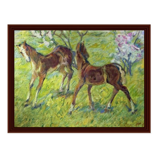 Jumping Foals By Marc Franz Post Card