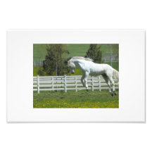 Jumping Horse Photo Art