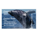 Jumping Humpback Whale Business Cards