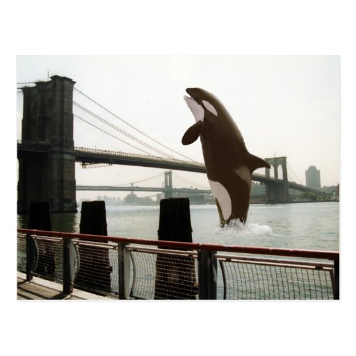 Jumping the Brooklyn Bridge Postcard