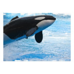 Jumping Whale Invitation