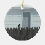 Junco In the snow Christmas Ornament