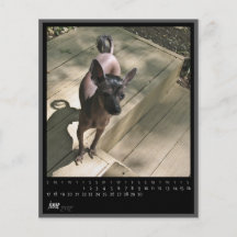 june 2012 calendar personalized flyer