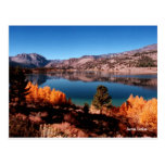 June Lake Mammoth Lakes California Postcard