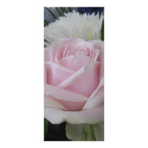 june rose rack card
