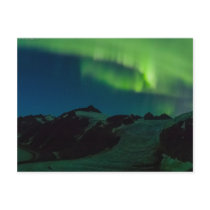 Juneau Icefield Northern Lights Postcard UPDATED