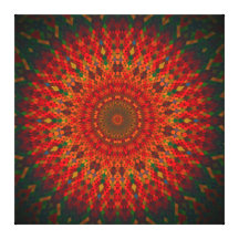 Jungle Fiesta Mandala Gallery Wrapped Canvas