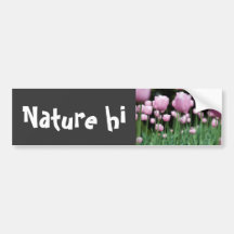 jungle in pink bumper stickers