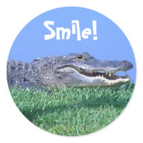 Jungle Jewels Stickers