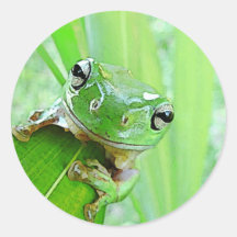Jungle Jewels Stickers