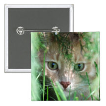Jungle Legend Pinback Buttons