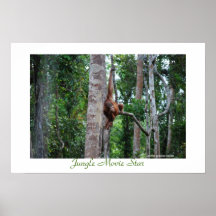Jungle Movie Star Poster