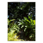 Jungle Path Card
