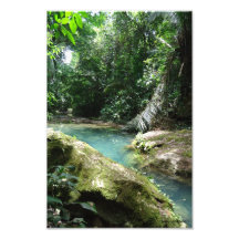 Jungle waters in Belize Central America Photographic Print