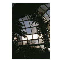 Jungle Window Photographic Print