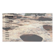 Juniper on sandstone, Utah, U.S.A. Business Card