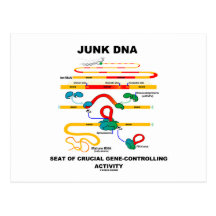 Junk DNA Seat Of Crucial Gene-Controlling Activity Postcards