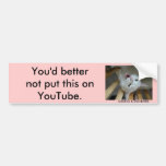 jupey1, You'd better not put this on YouTube., ... Bumper Stickers