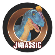 JURASSIC! Dinosaur Round Stickers