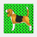 Just a Beagle Magnet