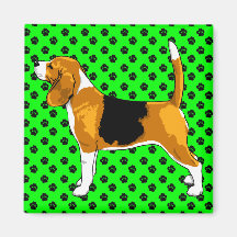 Just a Beagle Magnet