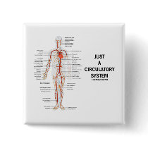 Just A Circulatory System (Arteries Circulation)