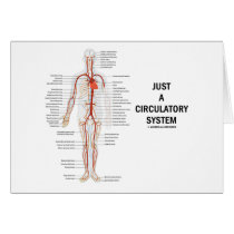 Just A Circulatory System (Arteries Circulation)