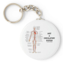 Just A Circulatory System (Arteries Circulation)
