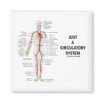 Just A Circulatory System (Arteries Circulation)