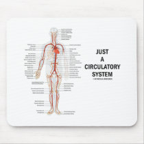 Just A Circulatory System (Arteries Circulation)