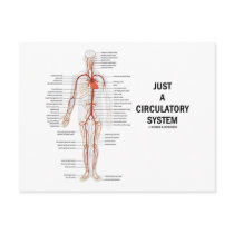 Just A Circulatory System (Arteries Circulation)