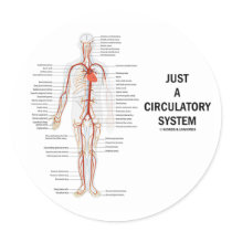 Just A Circulatory System (Arteries Circulation)