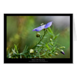 Just a flower – Blue flower 002 Card