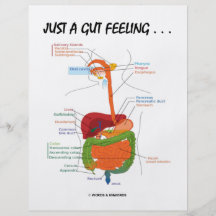 Just A Gut Feeling... (Digestive System Humour) Personalized Flyer