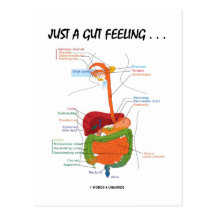 Just A Gut Feeling... (Digestive System Humour) Post Card