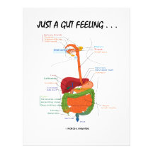 Just A Gut Feeling . . .  (Digestive System) Personalized Letterhead