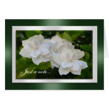 Just a note card Gardenia flowers Photography