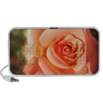 Just a rose travelling speakers