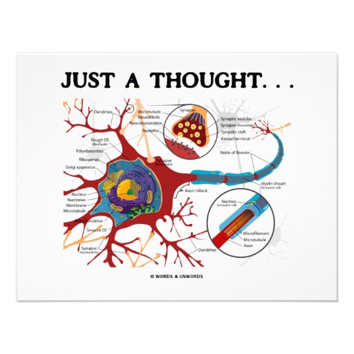 Just A Thought... (Neuron / Synapse) Custom Invitations
