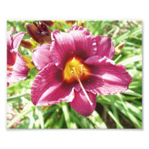 Just an Awesome Flower Photo Art