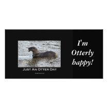 Just an Otter Day Gifts