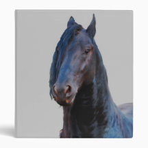 Just being a horse binders