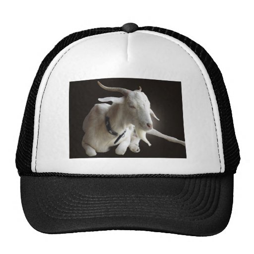 Just Billy Mesh Hats