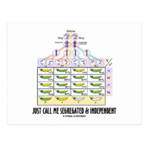 Just Call Me Segregated and Independent (Dihybrid) Post Card