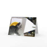 "Just came by to say I care" Kitten Card